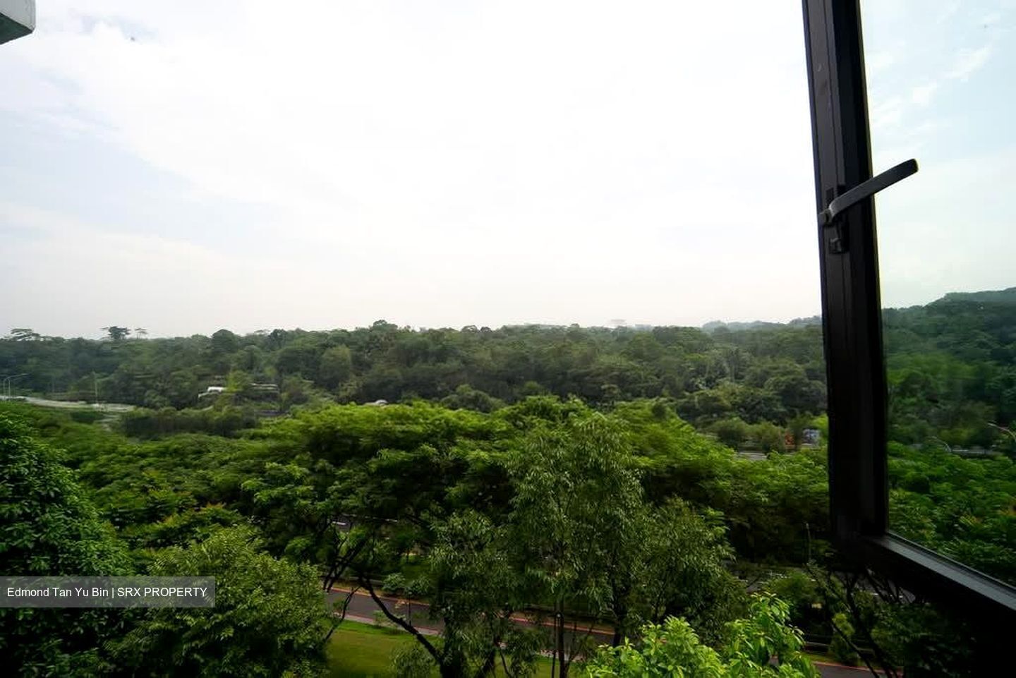 Blk 549A Segar Palmview (Bukit Panjang), HDB 4 Rooms #595214621